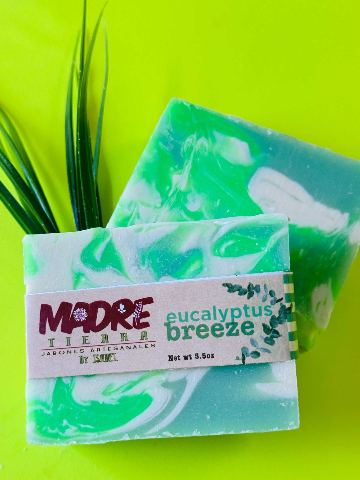 Jabón Artesanal-Eucaliptus Breeze