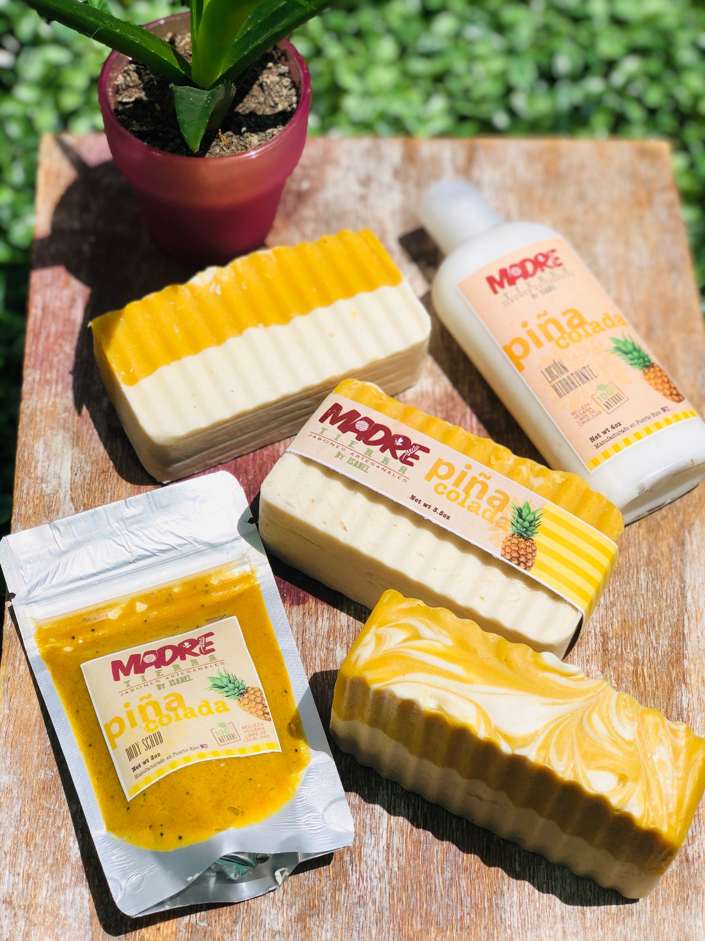 Body Scrub- Piña Colada