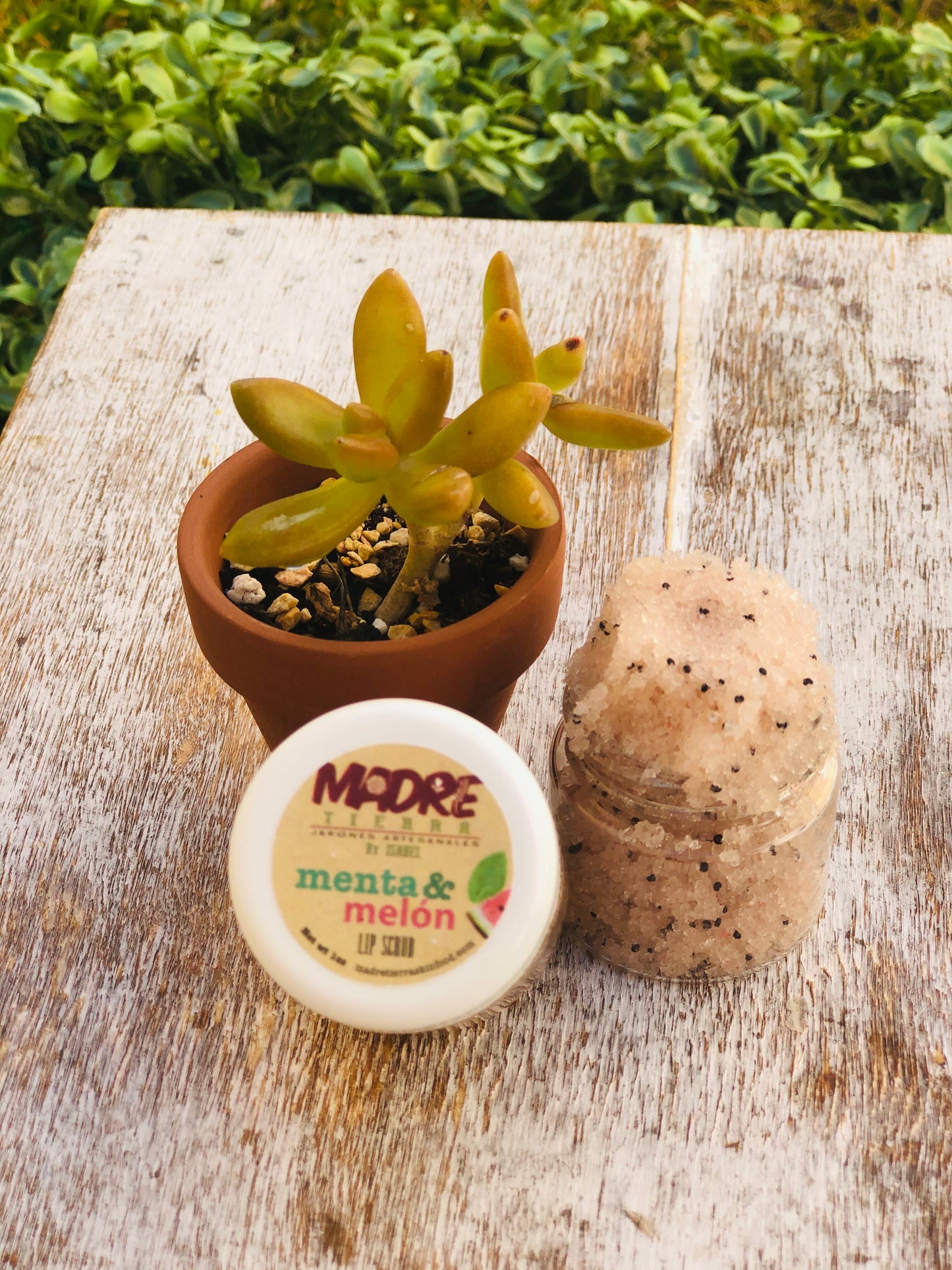 Lip Scrub- Melón & Menta